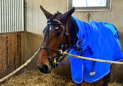 2023 11 28 Avenches IMG 0438 Divina