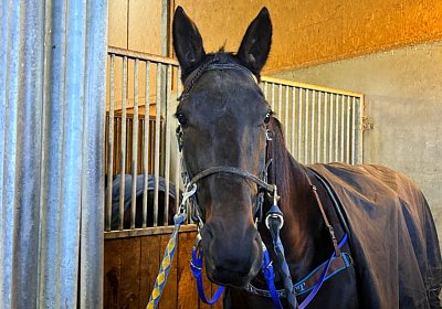 2023 11 28 Avenches IMG 0444 Jack