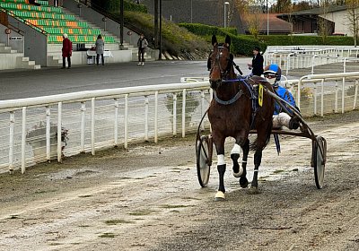 2023 11 28 Avenches IMG 0450 Alcide