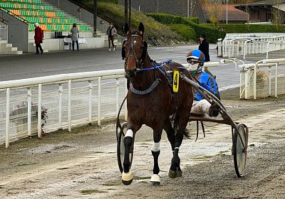 2023 11 28 Avenches IMG 0451 Alcide