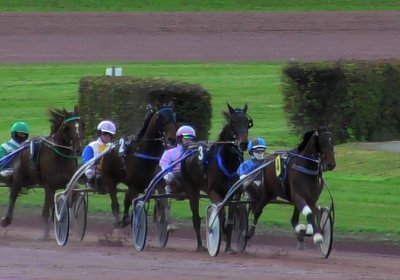 2023 11 28 Avenches J S7980003 Alcide