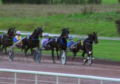2023 11 28 Avenches J S7980004 Alcide
