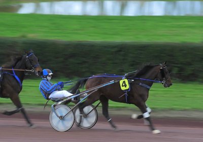 2023 11 28 Avenches J S7980008 Alcide