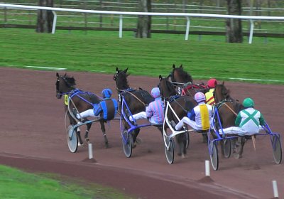 2023 11 28 Avenches J S7980010 Alcide