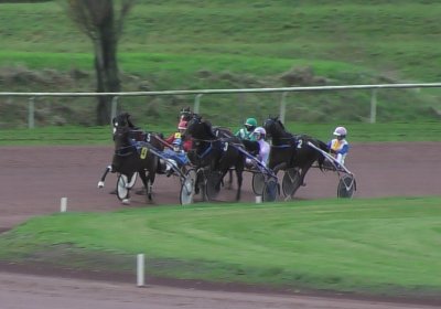 2023 11 28 Avenches J S7980014 Alcide