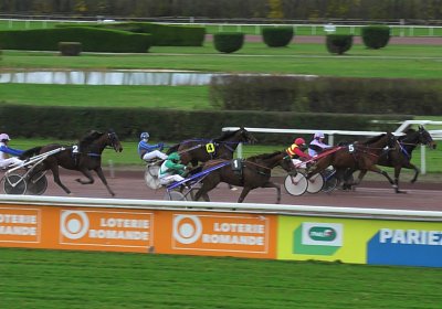 2023 11 28 Avenches J S7980021 Alcide