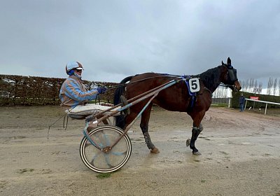 2023 11 28 Avenches K IMG 0466 Noon
