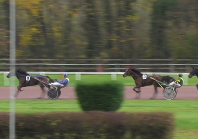 2023 11 28 Avenches L S7980030 Divina