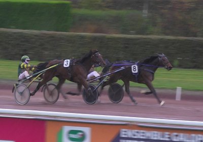 2023 11 28 Avenches L S7980038 Divina