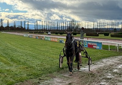 2023 11 28 Avenches P IMG 0496 Jack