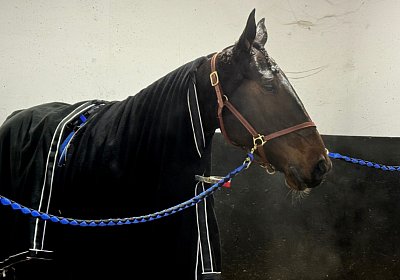 2023 12 04 Vincennes IMG 0776 Maggiore
