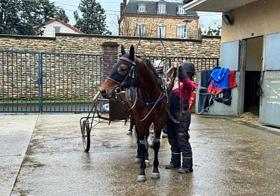 2023 12 05 Grosbois IMG 0881 Alcide