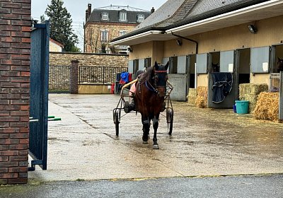 2023 12 05 Grosbois IMG 0888 Alcide