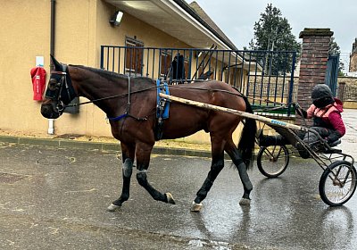 2023 12 05 Grosbois IMG 0890 Alcide