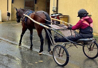 2023 12 05 Grosbois IMG 0891 Alcide