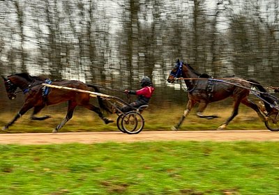 2023 12 05 Grosbois IMG 0920 Alcide Espada