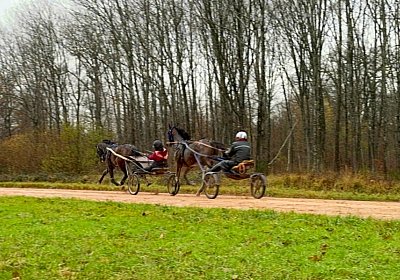 2023 12 05 Grosbois IMG 0934 Alcide Espada
