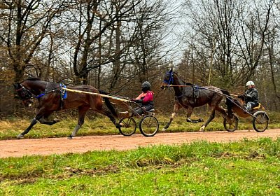 2023 12 05 Grosbois IMG 0944 Alcide Espada
