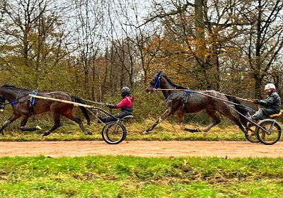 2023 12 05 Grosbois IMG 0946 Alcide Espada