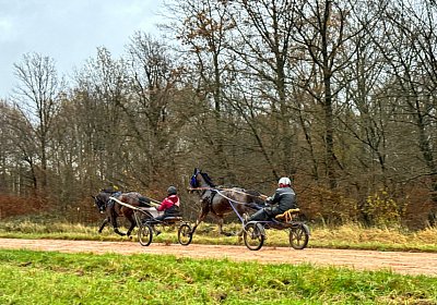 2023 12 05 Grosbois IMG 0952 Alcide Espada