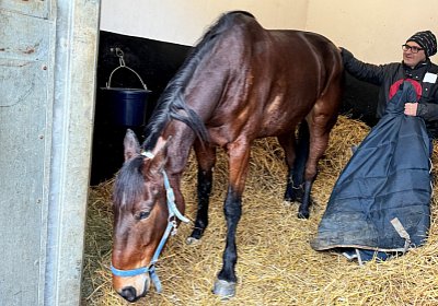 2024 02 18 Espada Vincennes IMG 4331 Ina Fighter