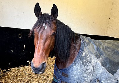 2024 02 18 Espada Vincennes IMG 4335 Divina