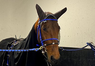 2024 02 18 Espada Vincennes IMG 4502