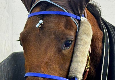 2024 02 18 Espada Vincennes IMG 4508