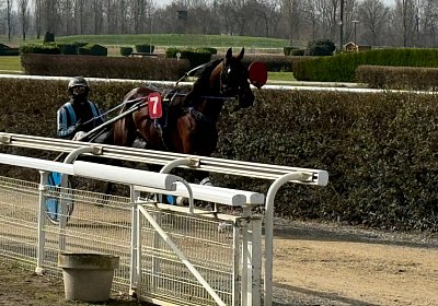 2024 02 29 Avenches Q IMG 5032 Alcide