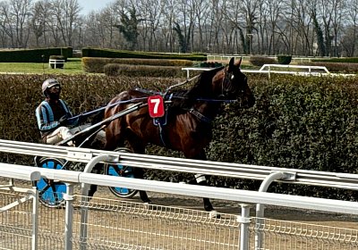 2024 02 29 Avenches Q IMG 5039 Alcide