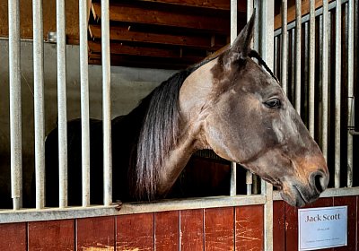 2024 03 21 Av IMG 6689 Jack