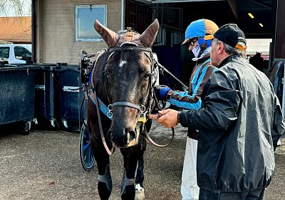 2024 03 21 Av IMG 6692 King