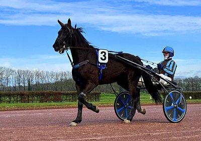 2024 03 21 Av IMG 6702 King