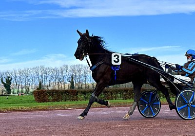 2024 03 21 Av IMG 6718 King