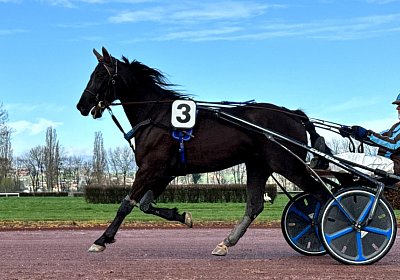 2024 03 21 Av IMG 6720 King