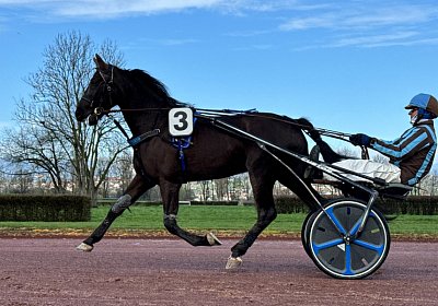 2024 03 21 Av IMG 6721 King