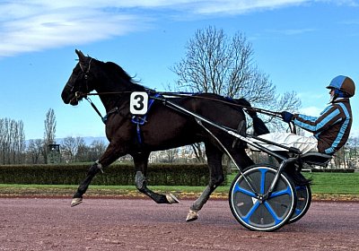 2024 03 21 Av IMG 6722 King