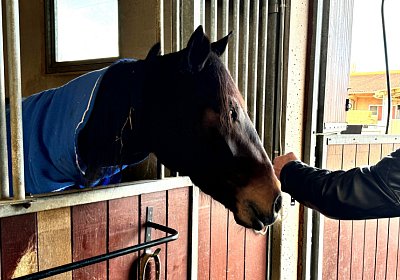 2024 03 21 Av IMG 6726 Fantastic