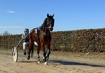 2024 03 21 Av IMG 6734 Ina