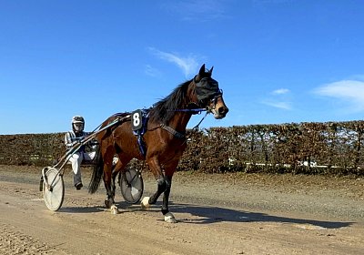 2024 03 21 Av IMG 6737 Ina