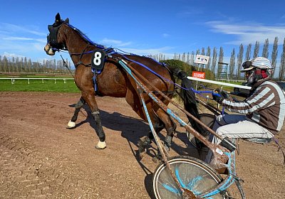 2024 03 21 Av IMG 6743 Ina