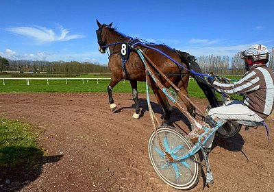 2024 03 21 Av IMG 6750 Ina