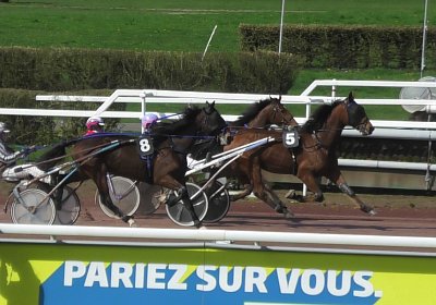 2024 03 21 Av K S8250005 Ina