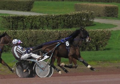 2024 03 21 Av K S8250006 Ina