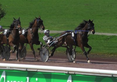 2024 03 21 Av K S8250012 Ina