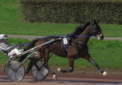 2024 03 21 Av K S8250014 Ina