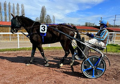 2024 03 21 Av L IMG 6764 King