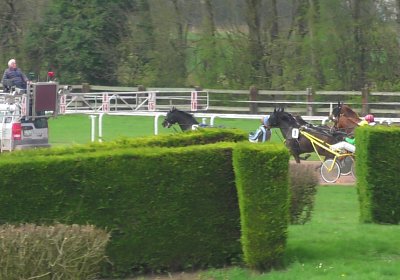 2024 03 21 Av M S8250026 King