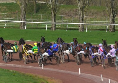 2024 03 21 Av N S8250046 Jack