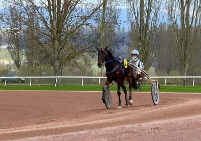 2024 03 21 Av O IMG 6794 Fantastic